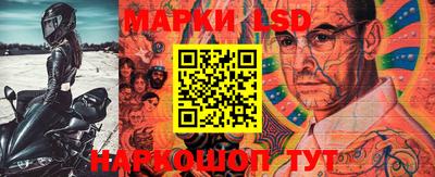 PSILOCYBIN Кунгур