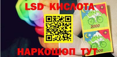 стаф Кулебаки