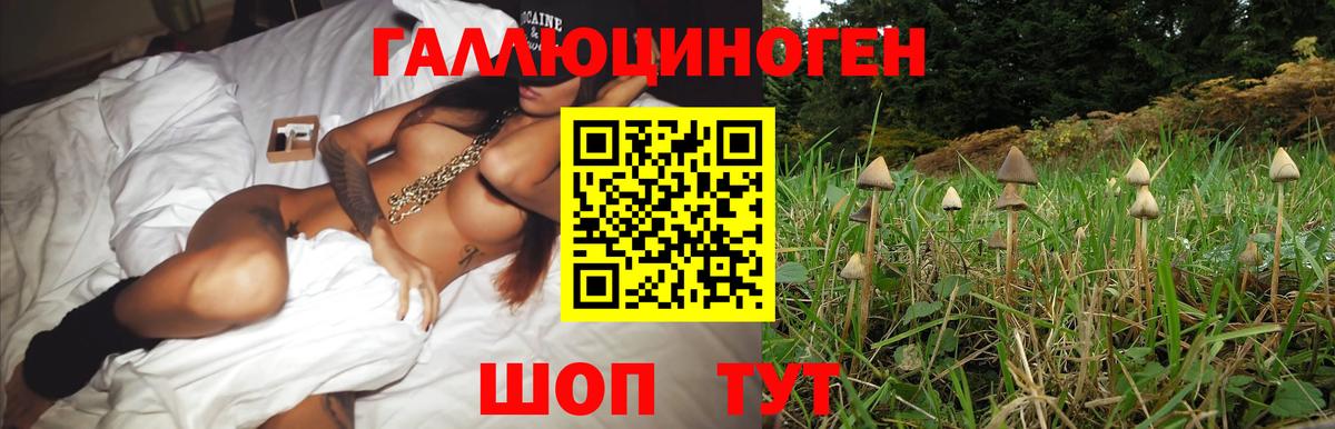 Галлюциногенные грибы мицелий Керчь